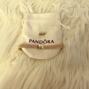 Pandora reflexions bracelet with a charm